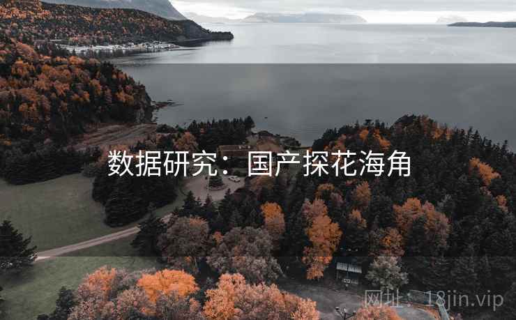 数据研究：国产探花海角