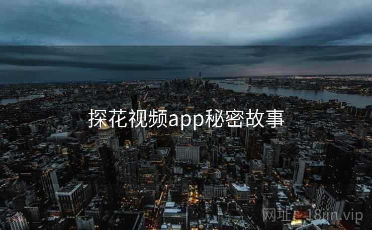 探花视频app秘密故事