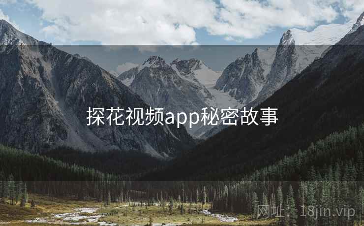 探花视频app秘密故事