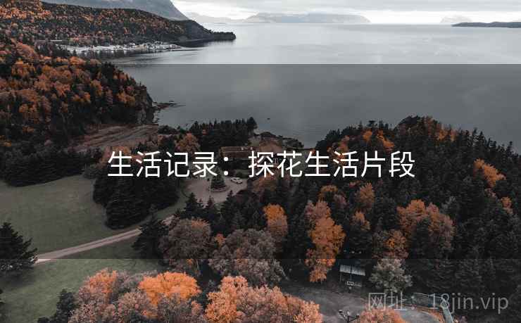 生活记录：探花生活片段