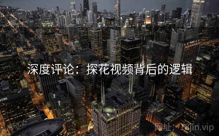 深度评论:探花视频背后的逻辑 深度评论:探花视频背后的逻辑