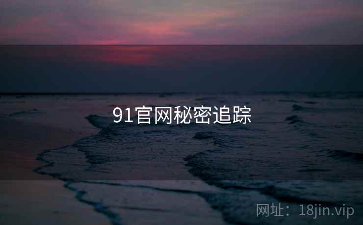 91官网秘密追踪