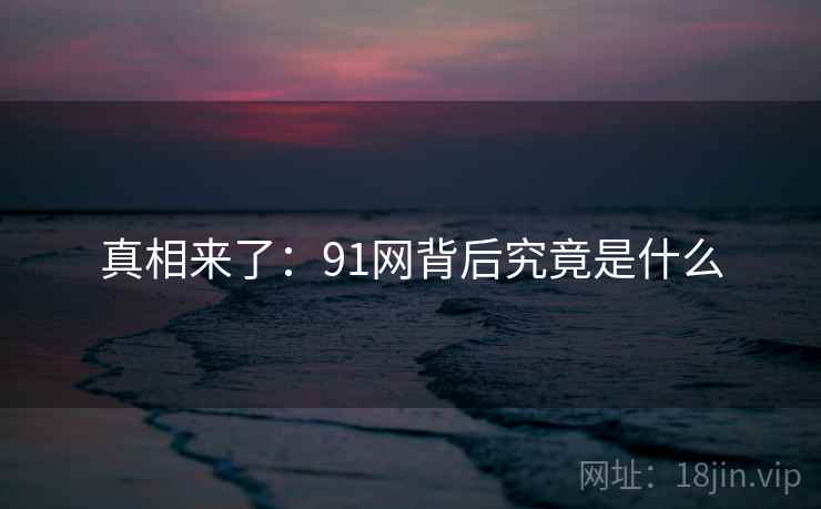 真相来了：91网背后究竟是什么